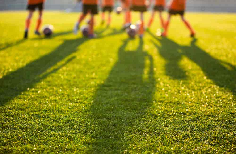 Sports